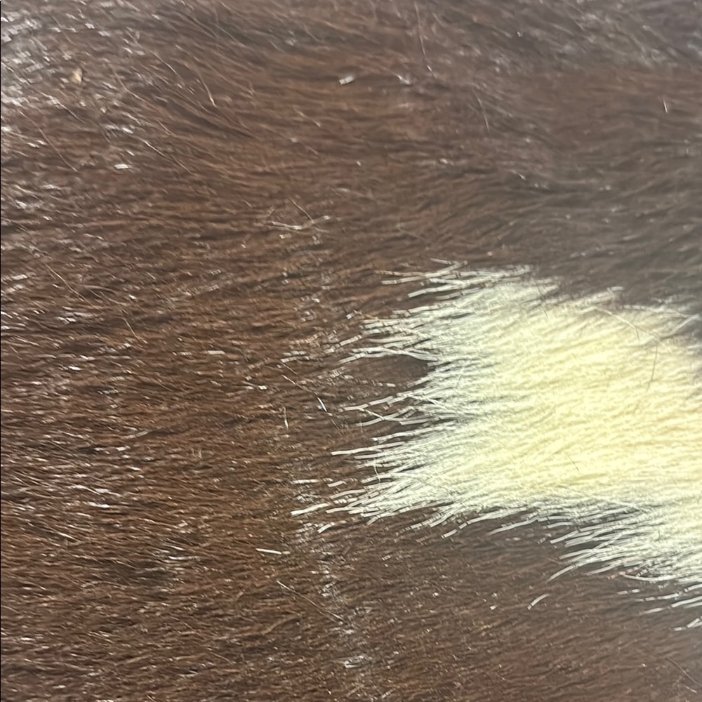 Dark brown and cream cowhide &leather bag upcycled patch & turquoise studs. - Picture 6 of 14